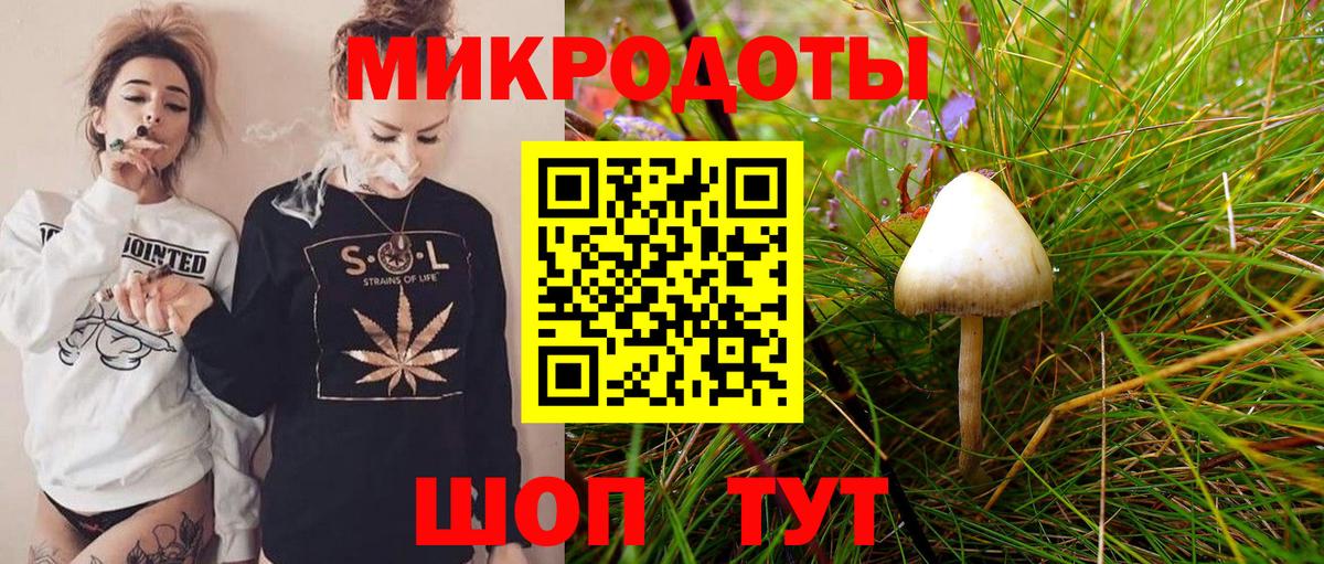 где купить наркоту  Вход с VPN  Артём  Псилоцибиновые грибы мицелий 