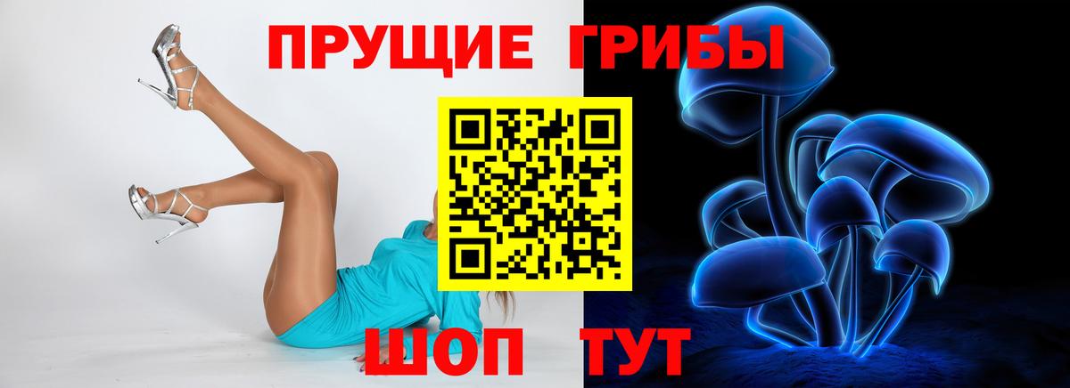 где найти   Галлюциногенные грибы MAGIC MUSHROOMS  Артём  Галлюциногенные грибы прущие грибы 